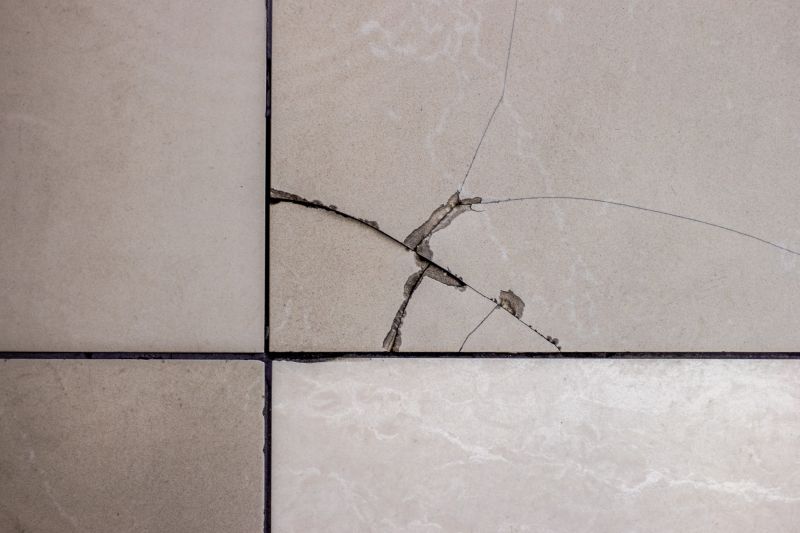 Broken Tile Replacement